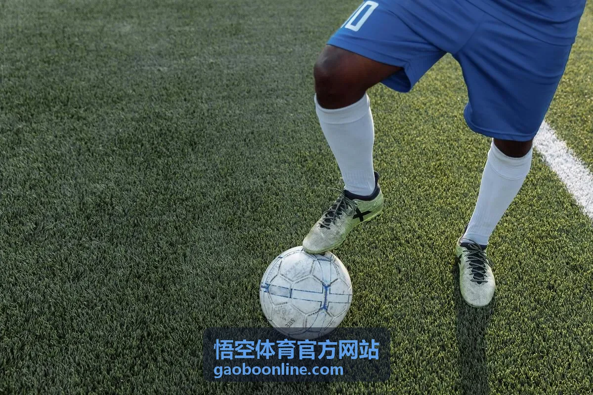 悟空体育校园亲子体育日赛事策划图片