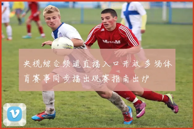 央视综合频道直播入口开放 多场体育赛事同步播出观赛指南出炉