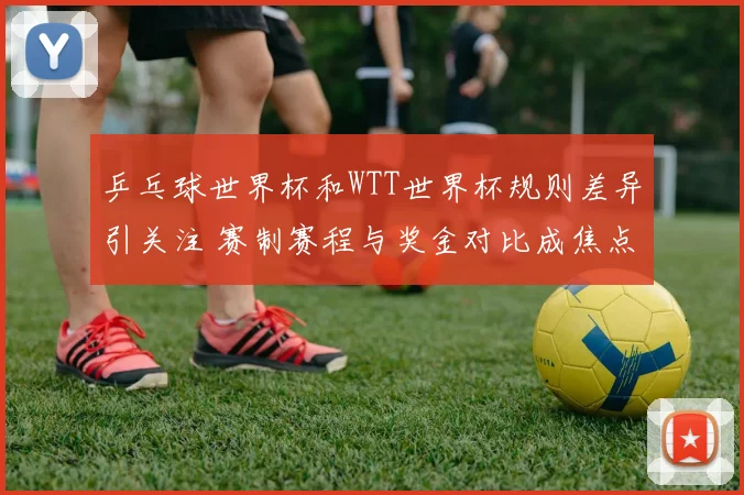乒乓球世界杯和WTT世界杯规则差异引关注 赛制赛程与奖金对比成焦点
