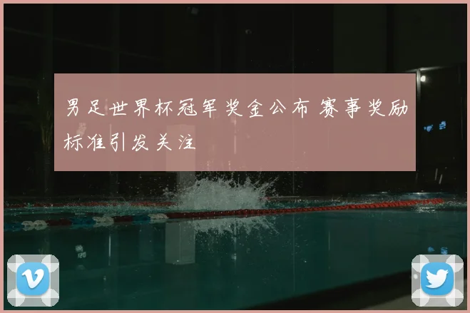 男足世界杯冠军奖金公布 赛事奖励标准引发关注