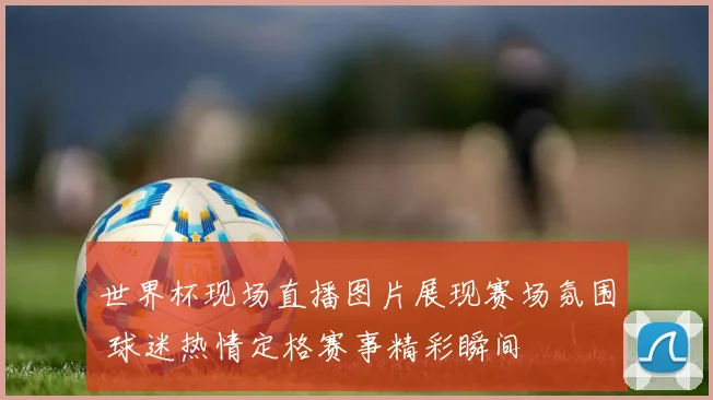 世界杯现场直播图片展现赛场氛围 球迷热情定格赛事精彩瞬间