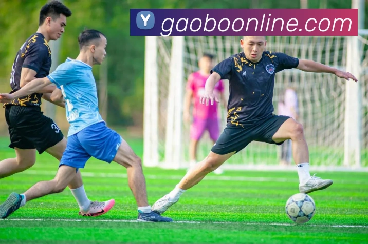 米兰体育网页官网发展历程